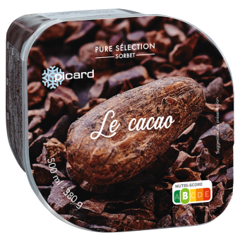 Sorbet Le cacao - 84029 - Picard Réunion