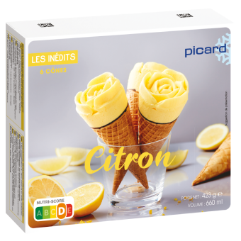 6 cônes citron - 73120 - Picard Réunion